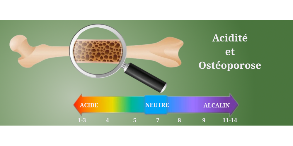 Acidité et Ostéoporose