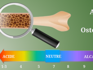 Acidité et Ostéoporose