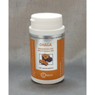 Chaga