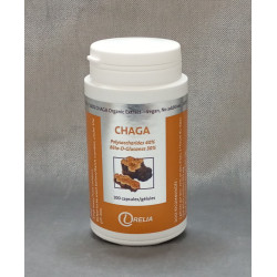 Chaga